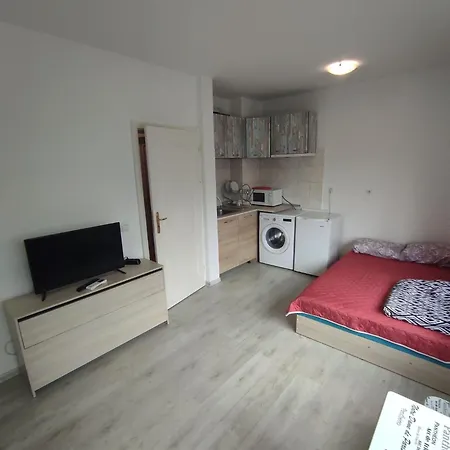 Sun стамат икономов 11