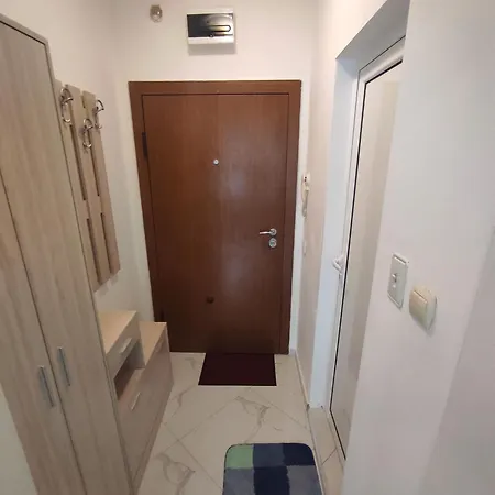 Sun стамат икономов 11 *